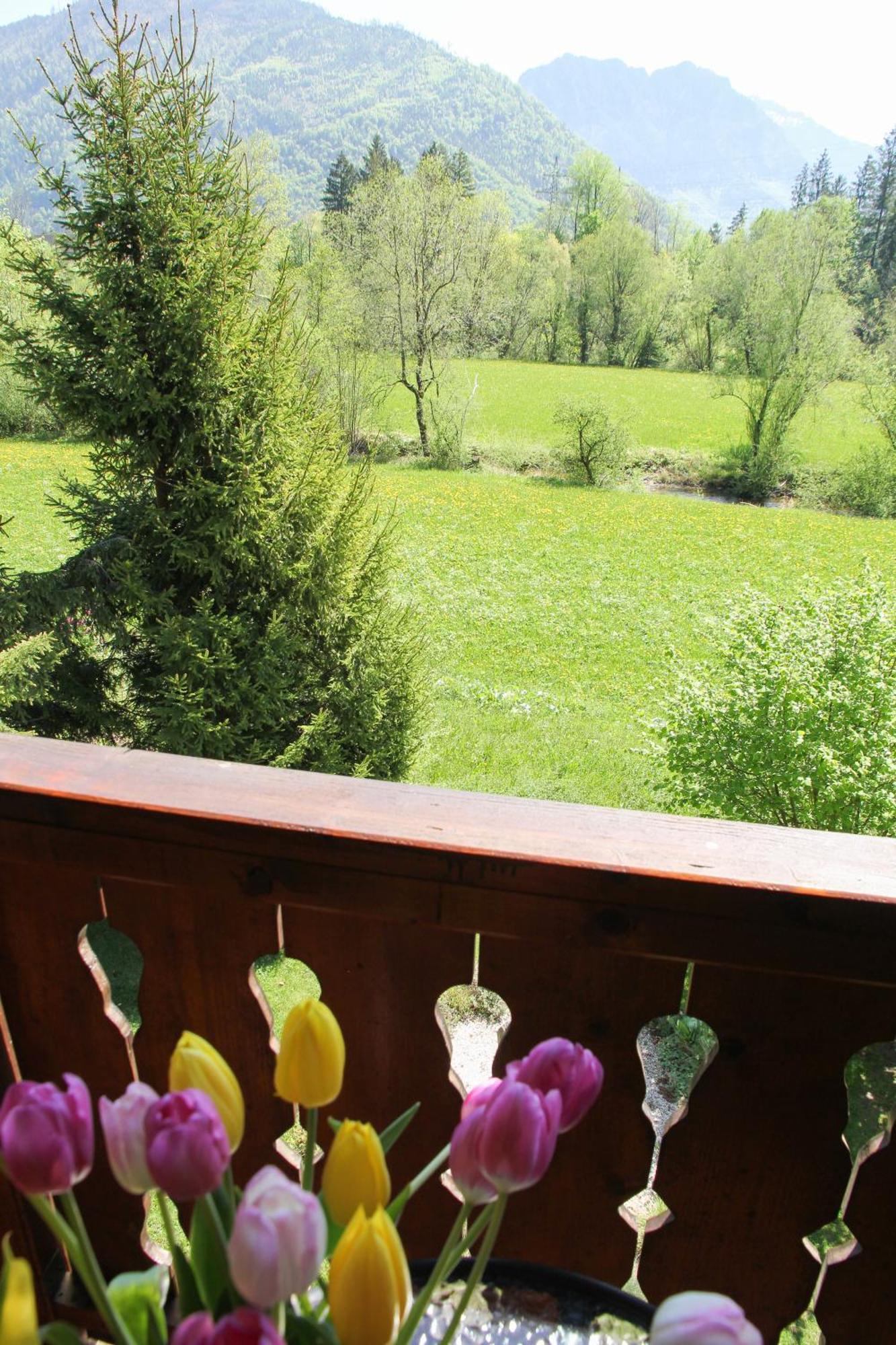 Silvanus Appartement *