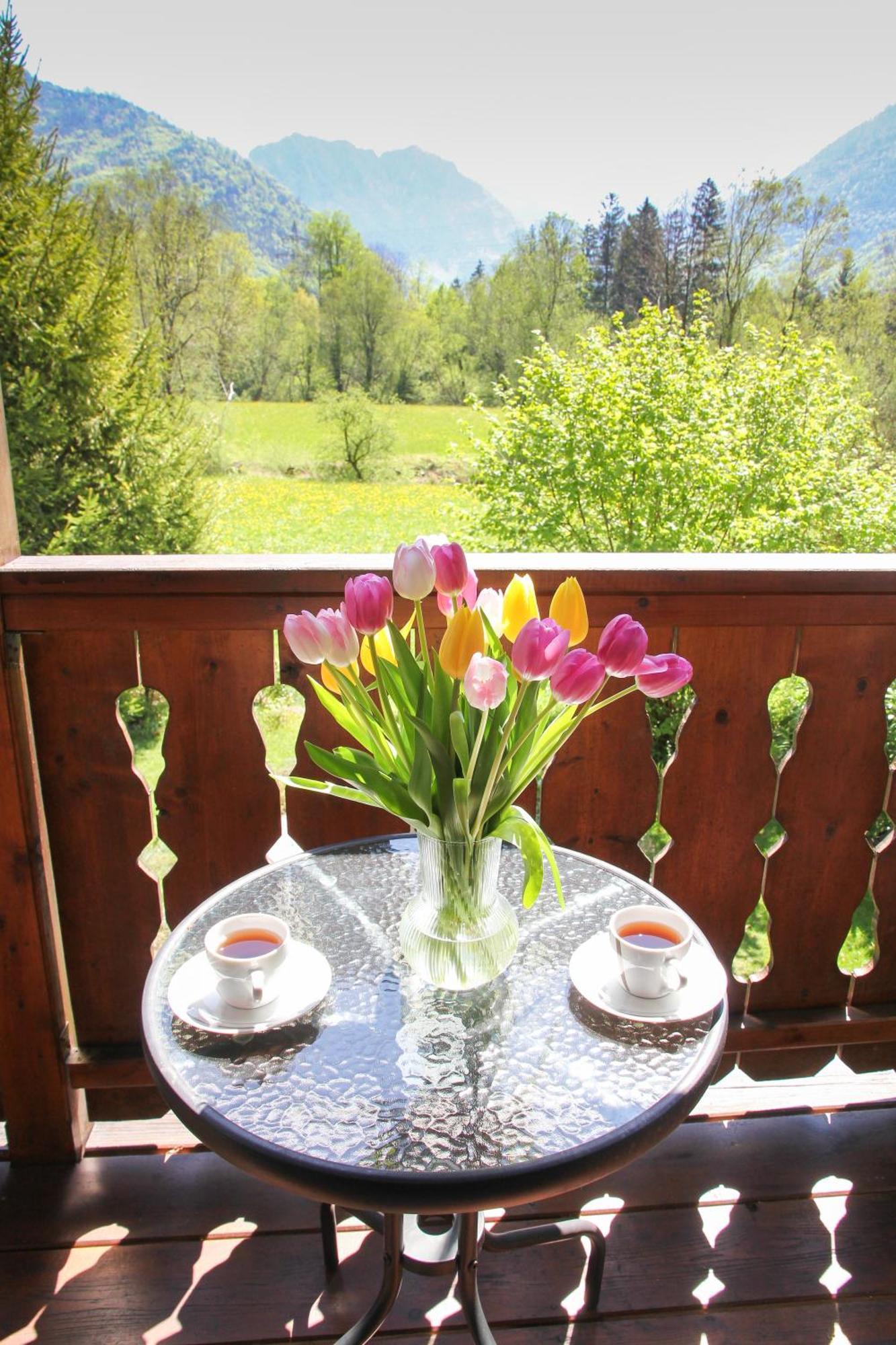 Silvanus Appartement *
