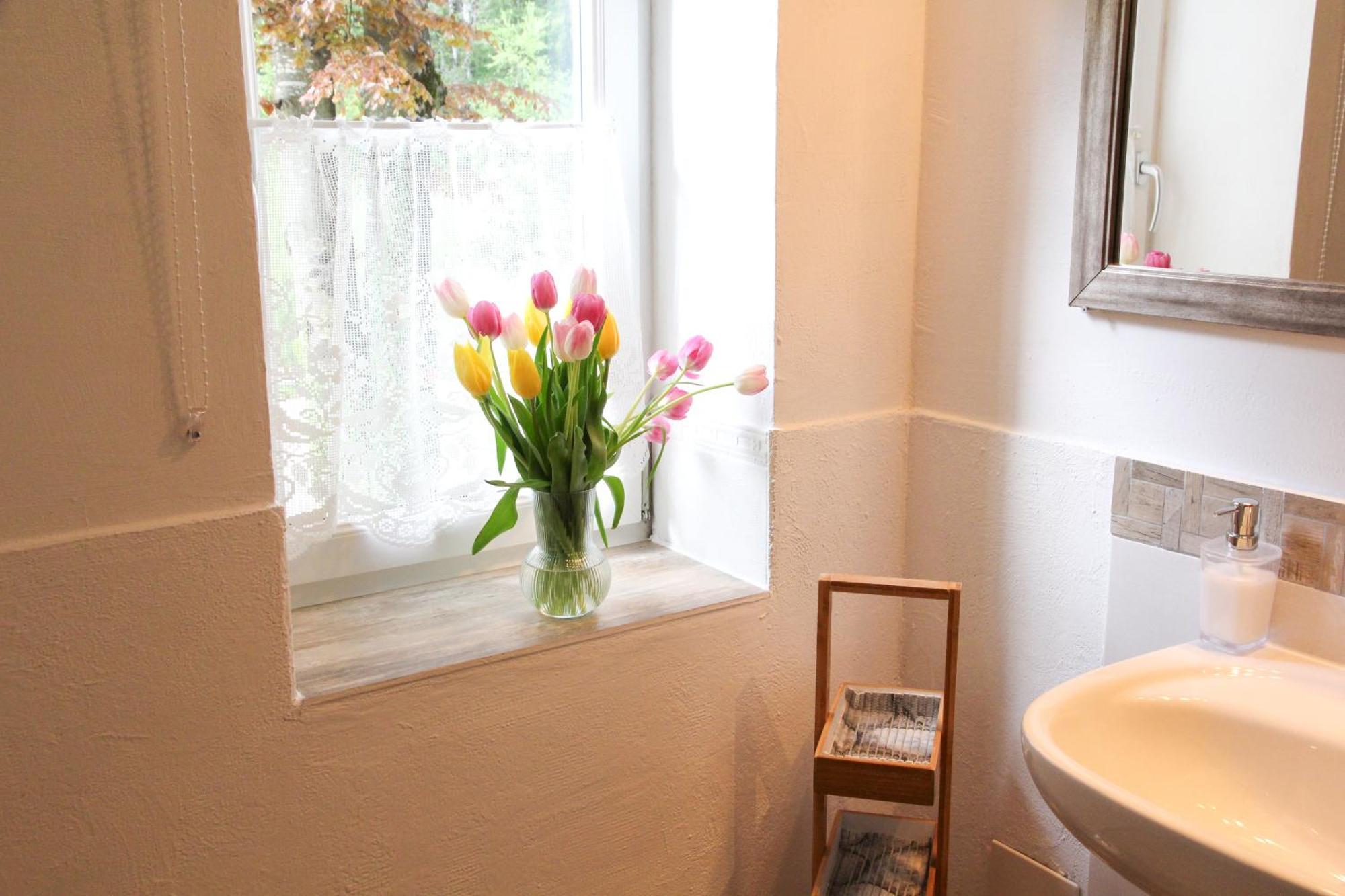 Silvanus Appartement Ebensee