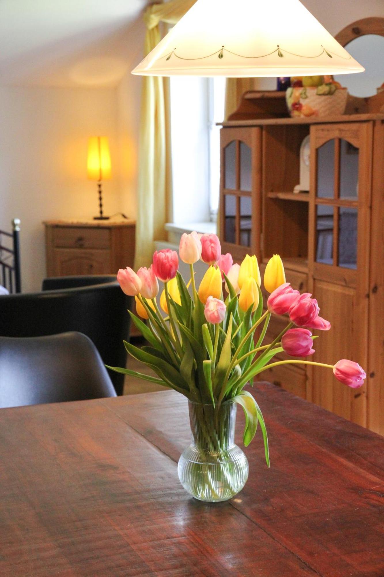 Silvanus Appartement Ebensee